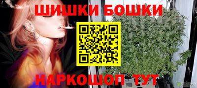 мдпв Жуковский