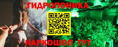 мяу мяу мука Заводоуковск