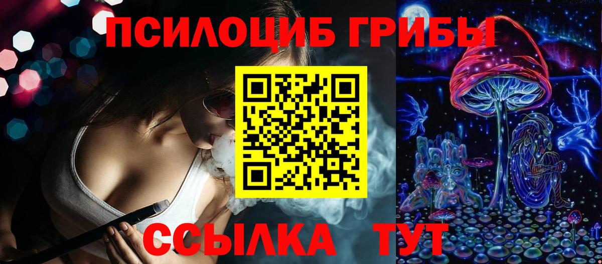 Псилоцибиновые грибы Psilocybe Мурино