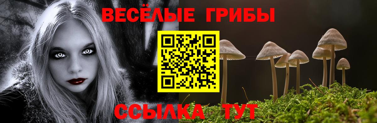 Мурино  Псилоцибиновые грибы прущие грибы  Вход с VPN 