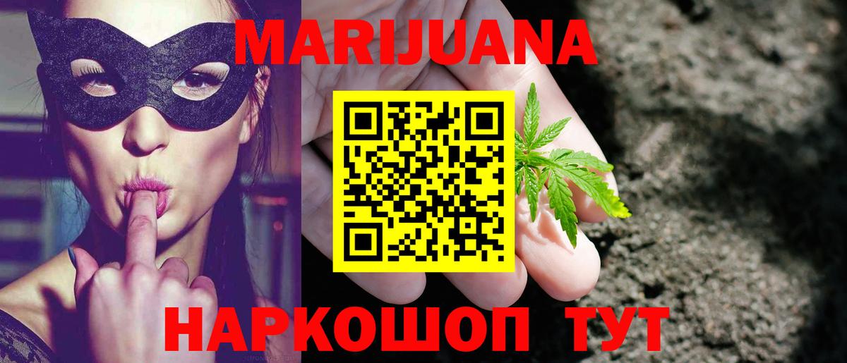Конопля планчик  Вход с VPN  Мурино  Каннабис семена  Канабис Bruce Banner  Каннабис семена 
